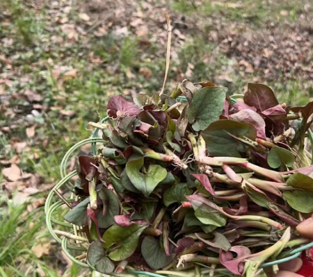 微信圖片_20250423163323 微信圖片_20250423163323