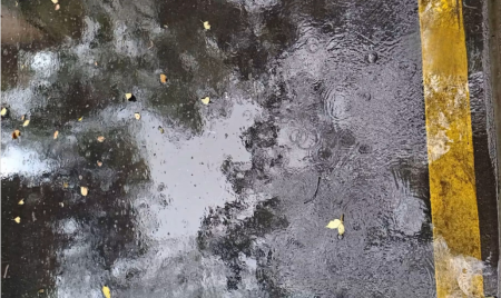 7f787048-69bc-425d-8627-eadd3faf4cab